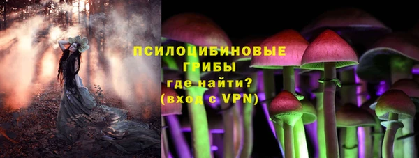 хмурый Карпинск
