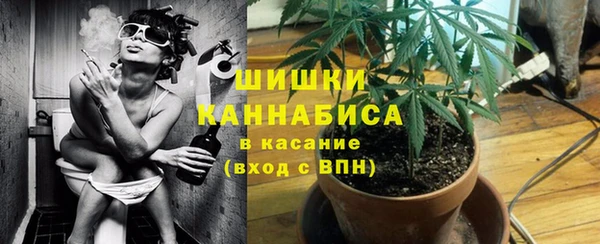 хмурый Карпинск