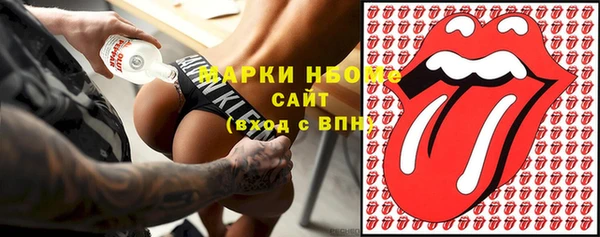 хмурый Карпинск