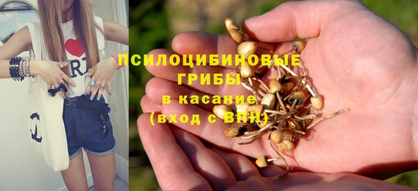 мдпв Карталы