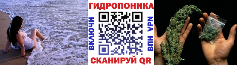 Марихуана конопля  Купить  Вязьма 